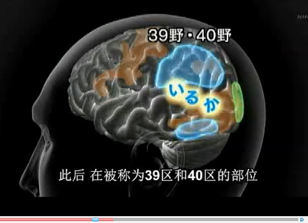 [NHK纪录片]疾病的起源：读写障碍症-文字引起的疾病